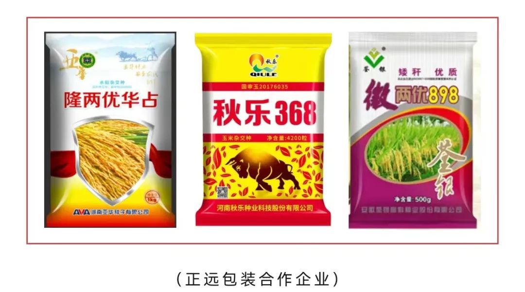 竞彩网