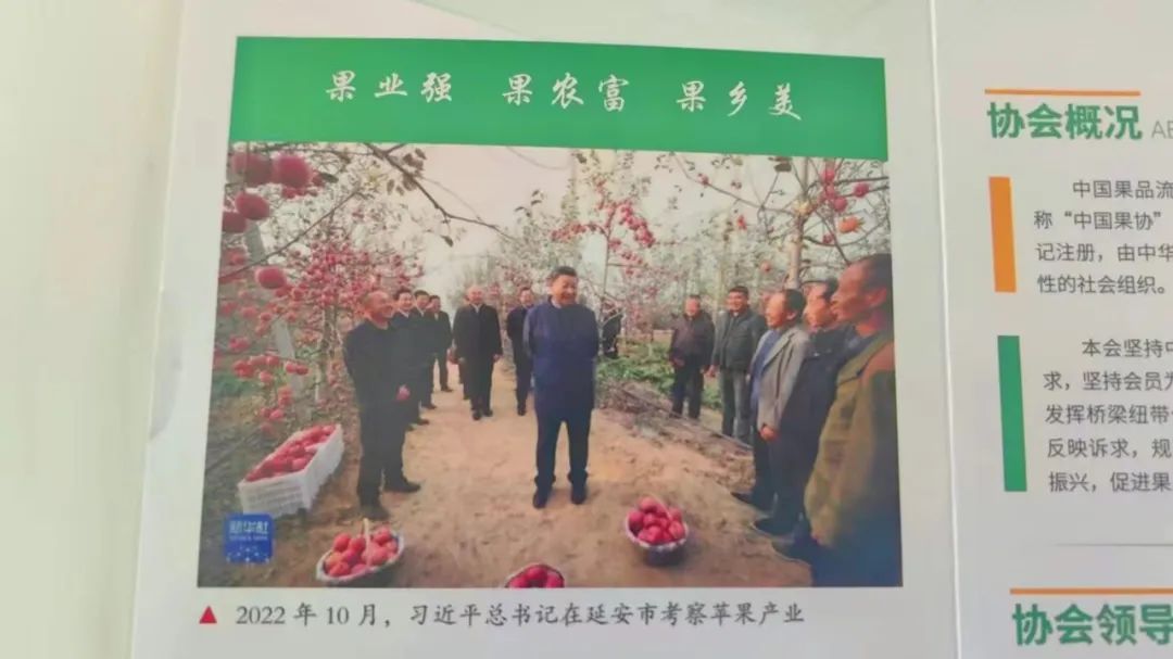 竞彩网