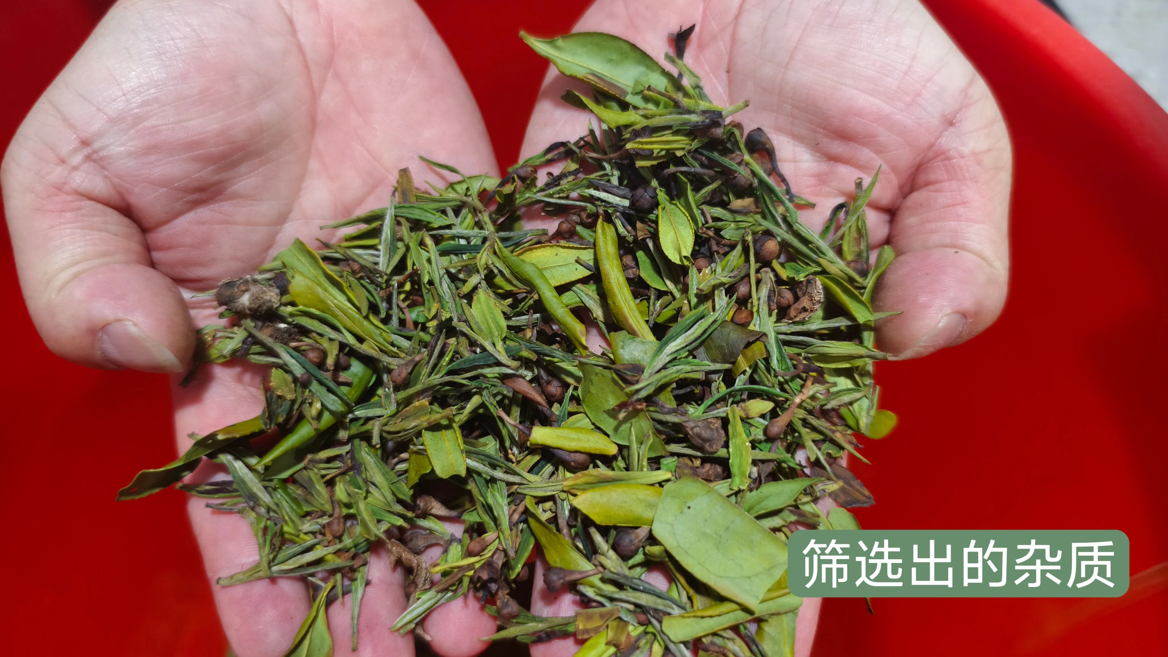 竞彩网