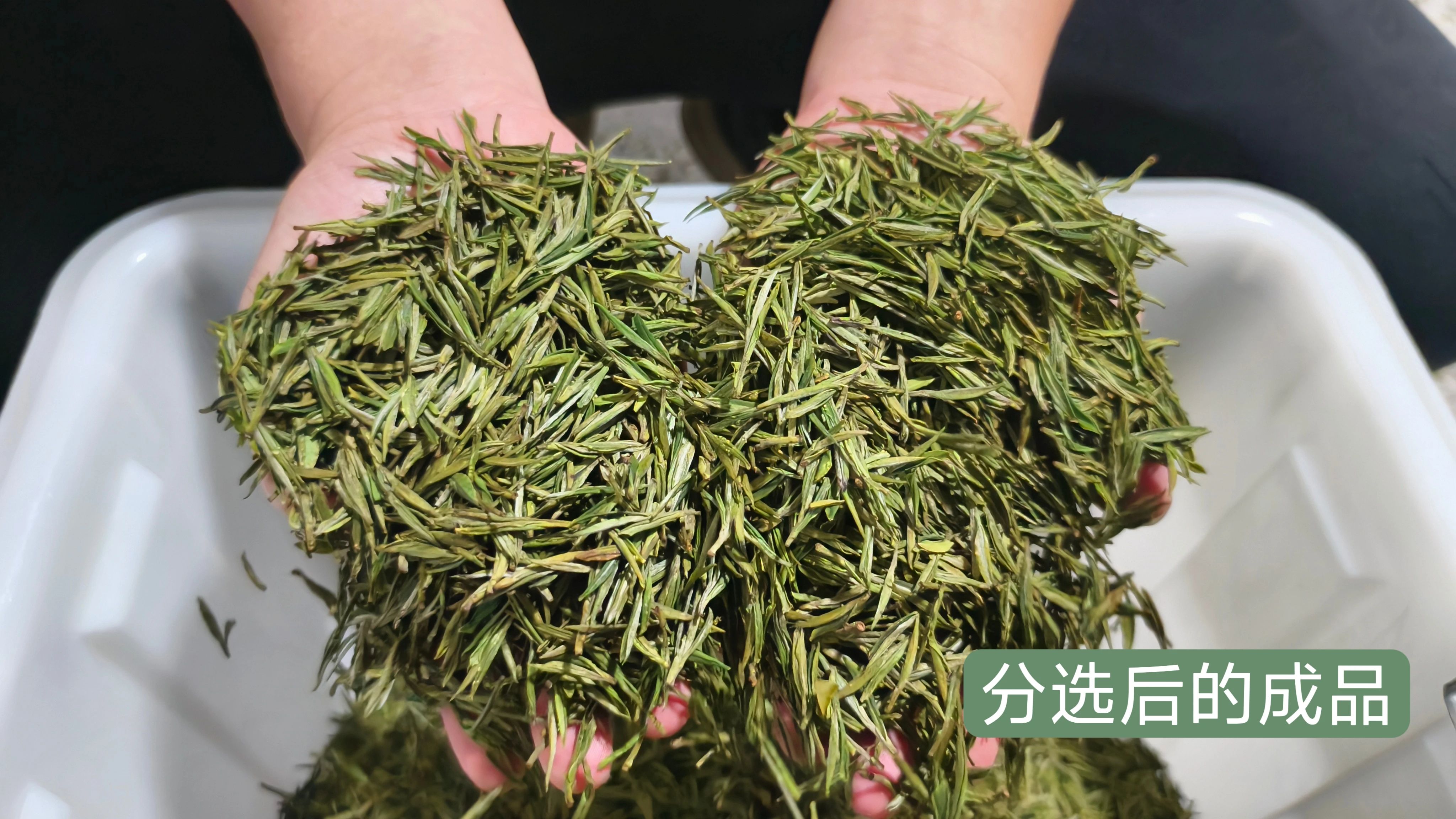 竞彩网