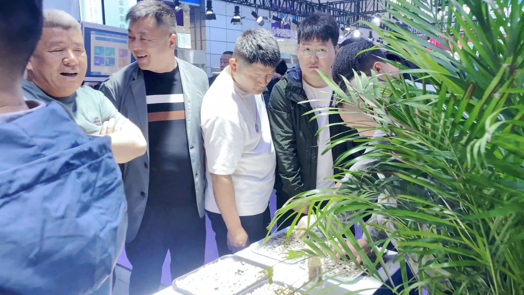 竞彩网