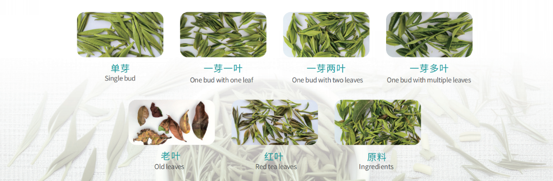 竞彩网