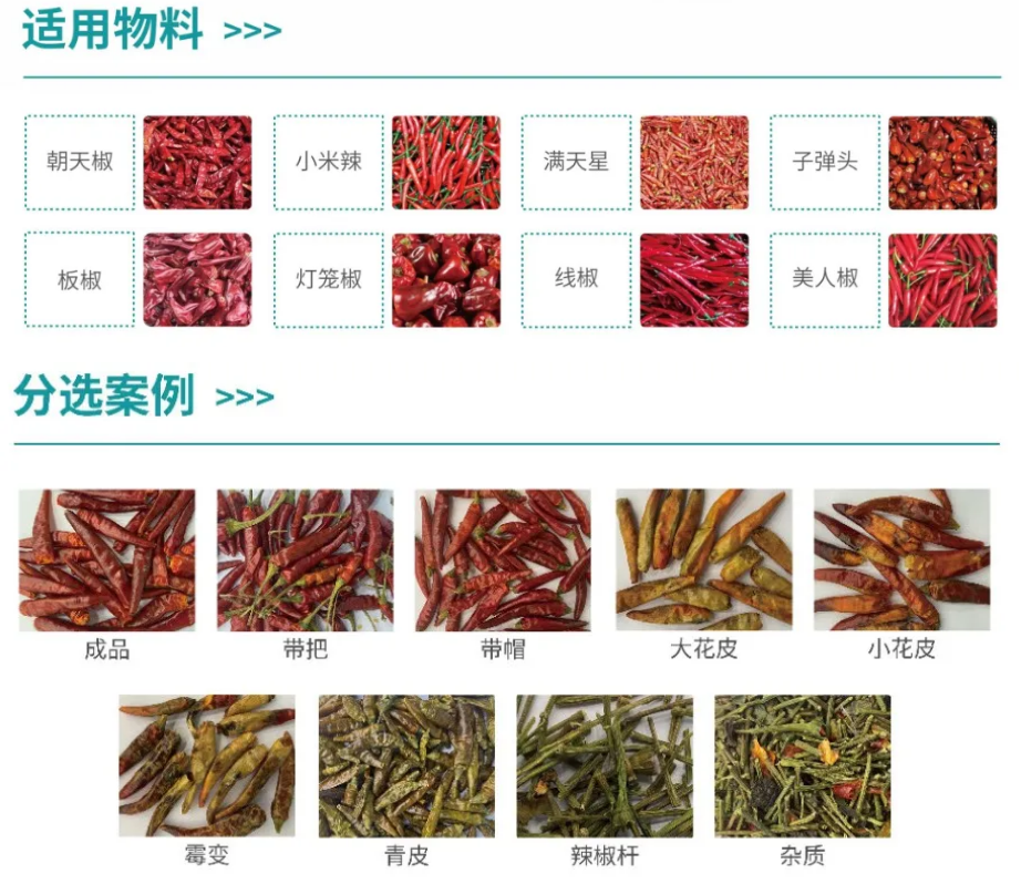 竞彩网