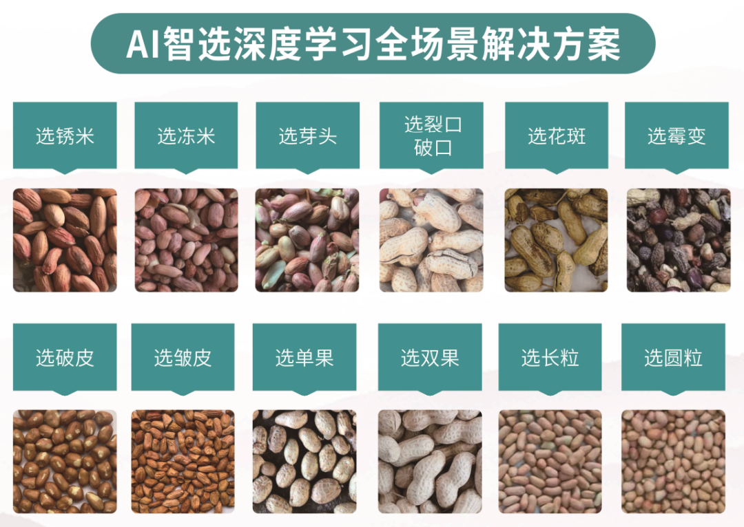 竞彩网