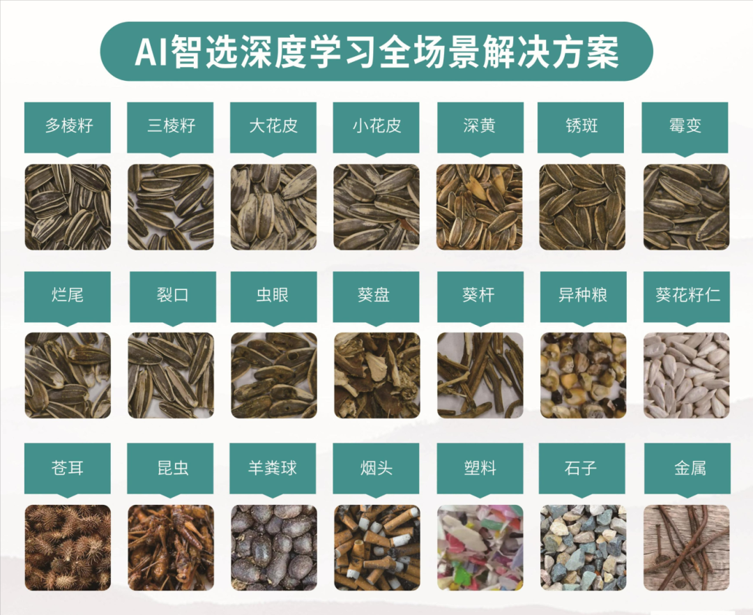 竞彩网