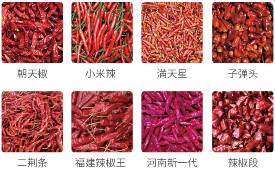 竞彩网