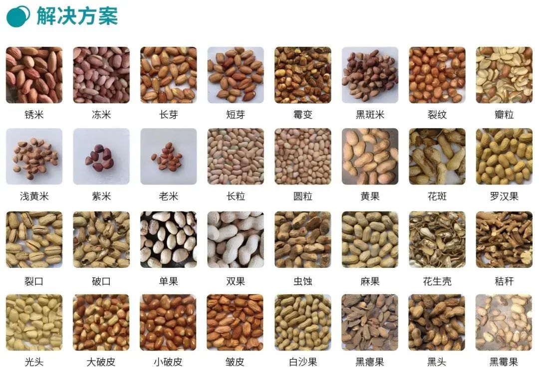 竞彩网