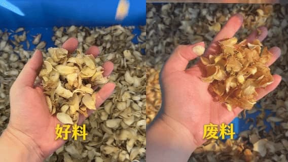 竞彩网