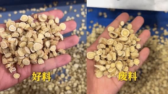 竞彩网