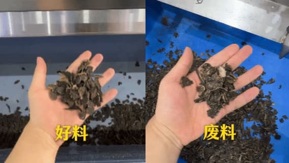 竞彩网