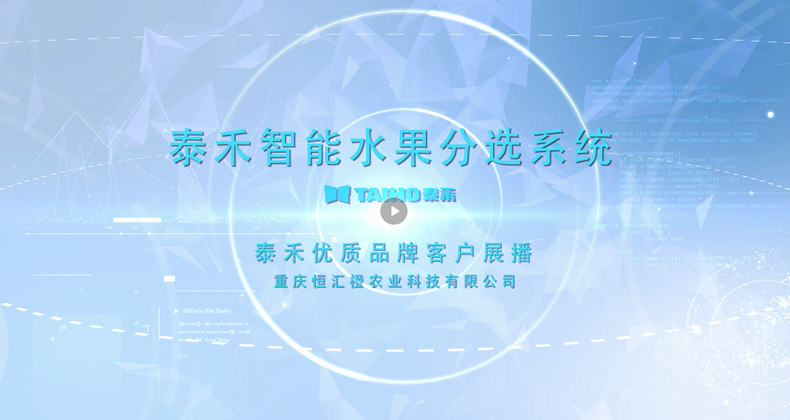 竞彩网