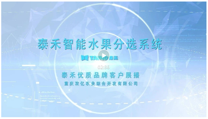 竞彩网
