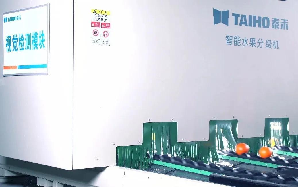 竞彩网