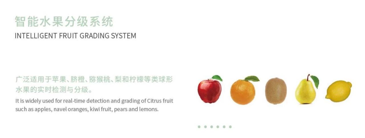 竞彩网