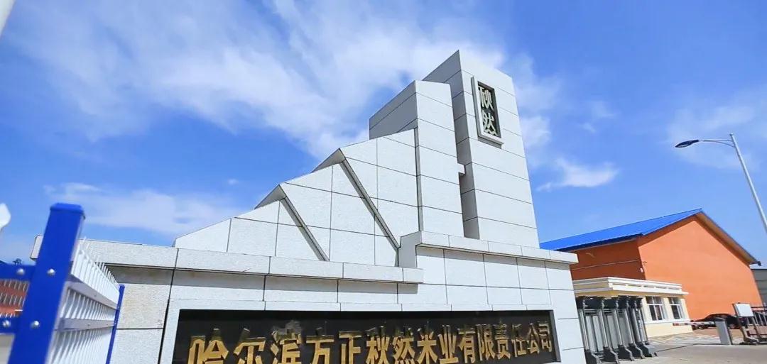 竞彩网