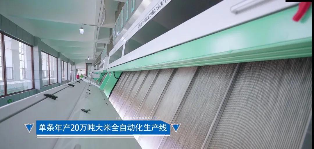 竞彩网