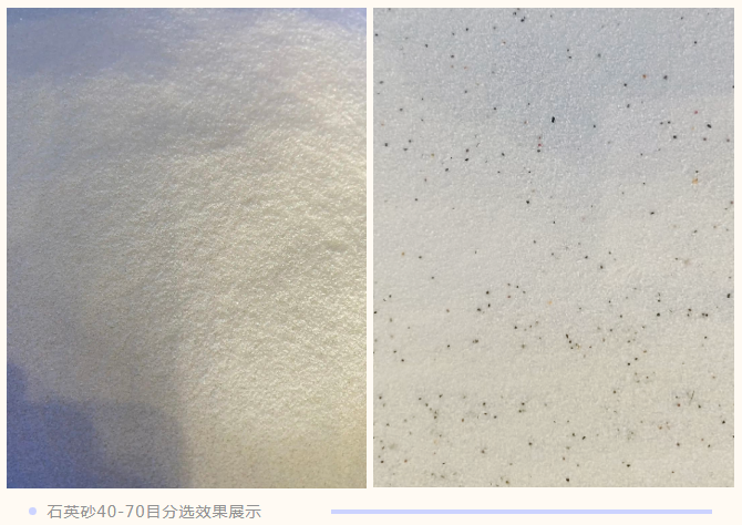 竞彩网