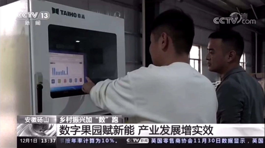 竞彩网