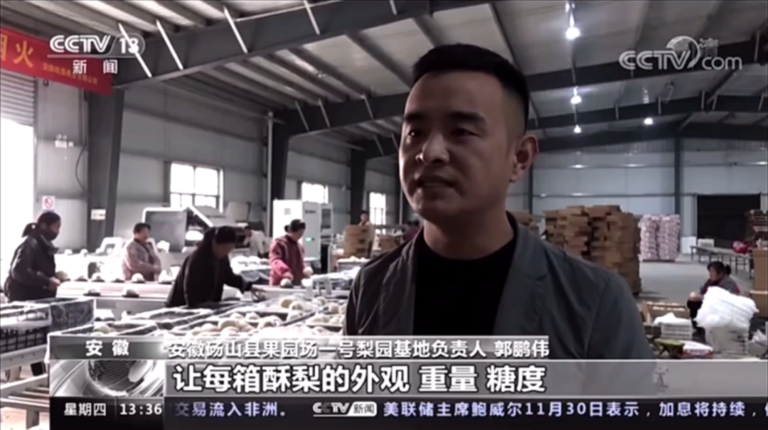 竞彩网