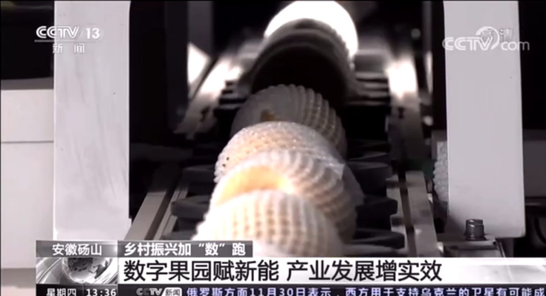 竞彩网