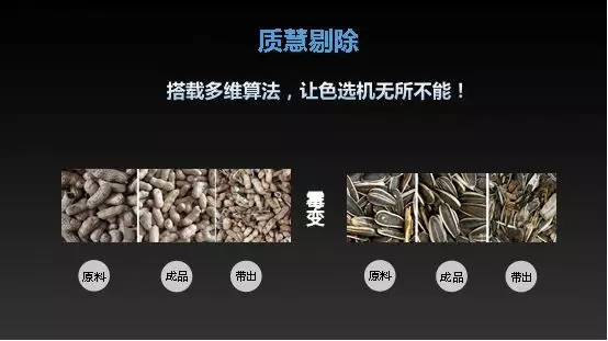 竞彩网