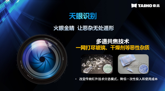 竞彩网