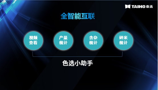 竞彩网