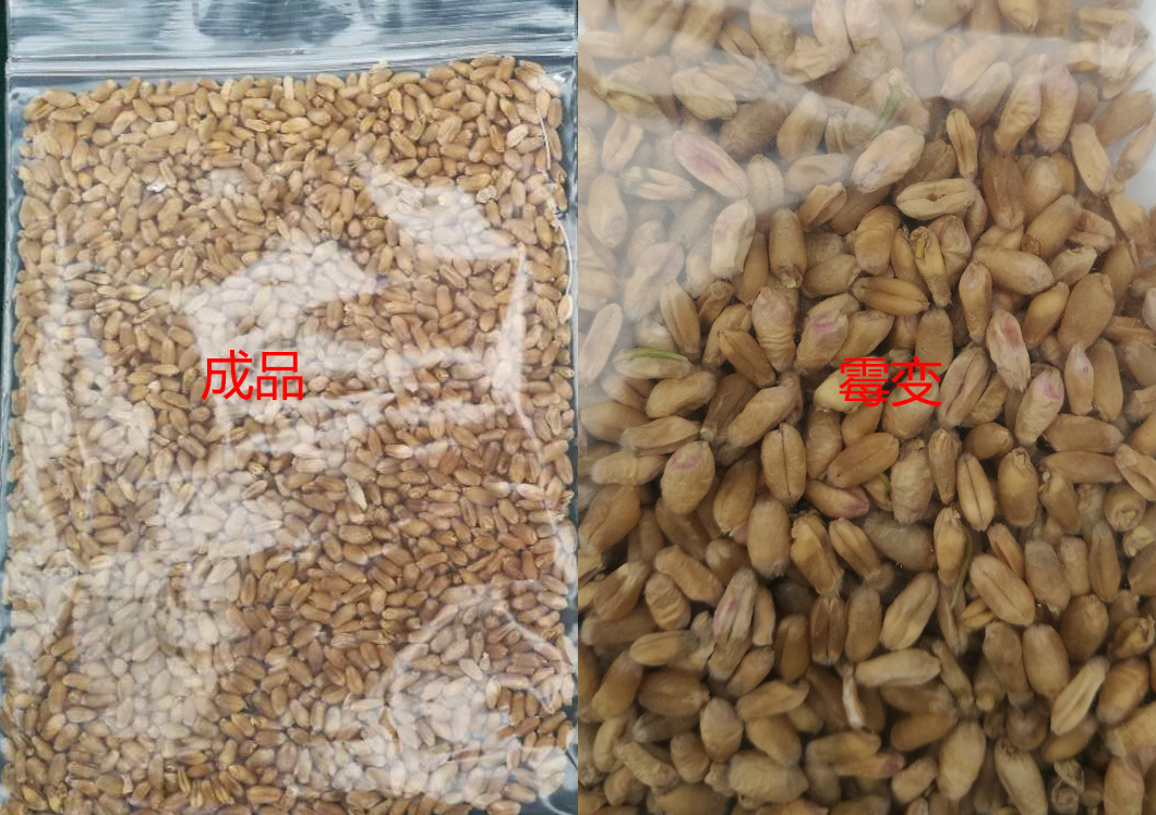 竞彩网