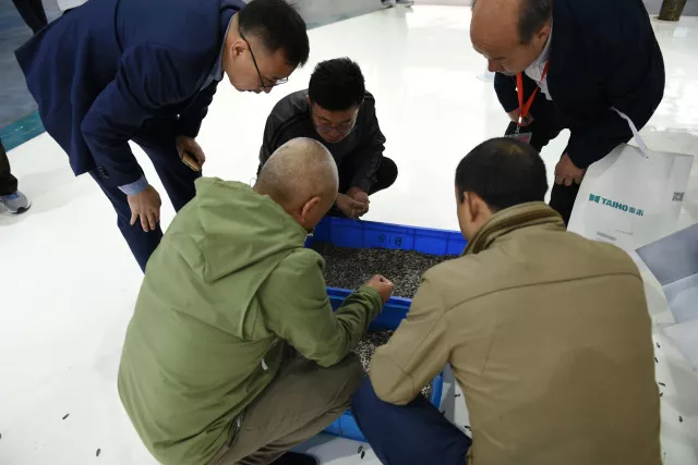 竞彩网