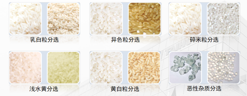 竞彩网