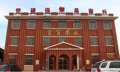 竞彩网