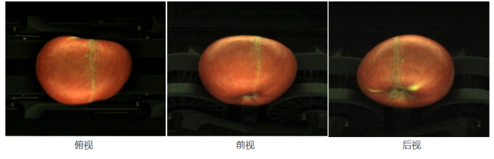 竞彩网