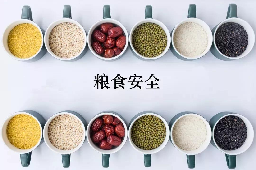 竞彩网