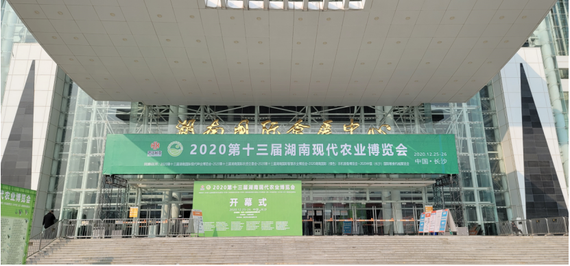 竞彩网