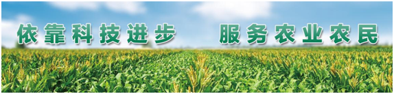 竞彩网