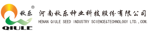 竞彩网