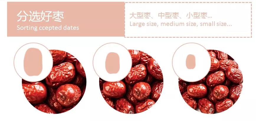 竞彩网