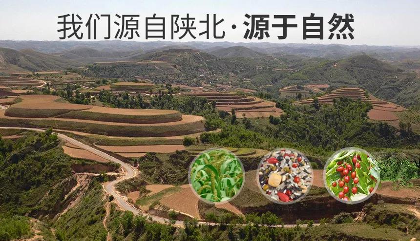 竞彩网
