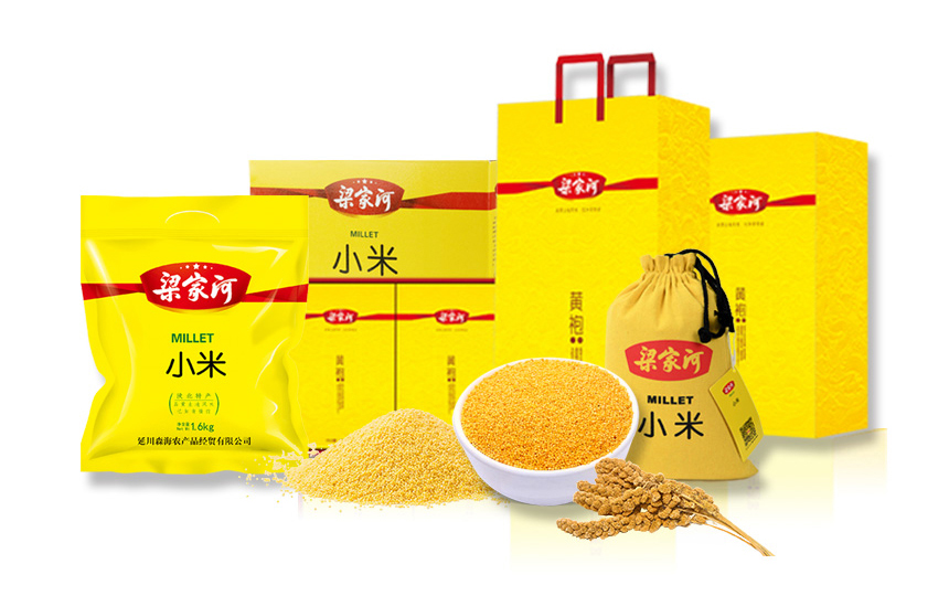 竞彩网