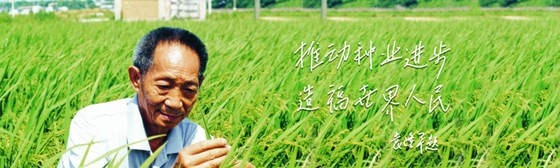 竞彩网